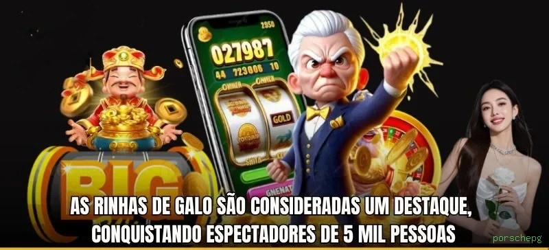 Plataforma completa da porschepg com todos os jogos